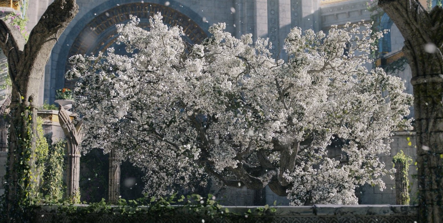 Arbol Blanco de Gondor